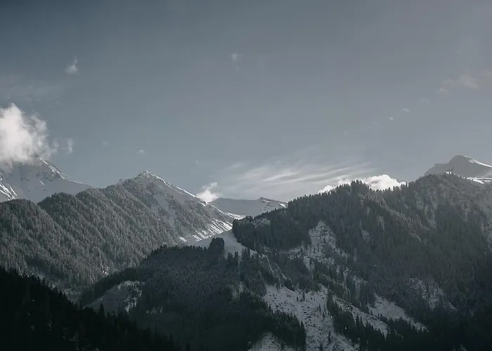 アパートホテル The Black Eagle Luxury